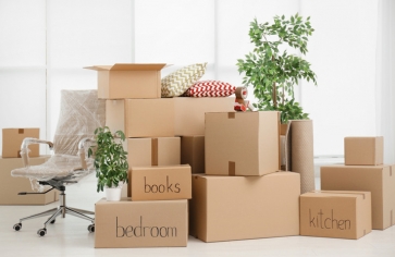 Packers and Movers